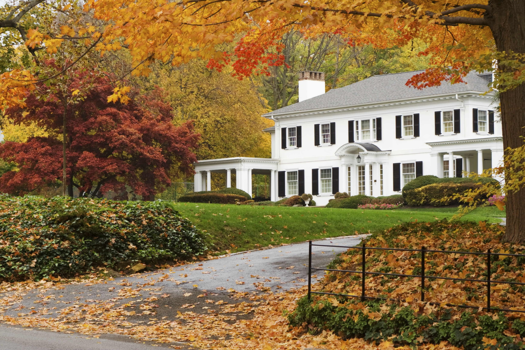 Buying or Selling, Fall is a great time for Real Estate - Wayne Hayes